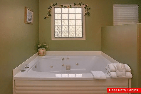 2 Bedroom Cabin with Private Jacuzzi Tub in bath - A Dream Come True