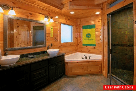 Luxurious Bathroom with Jacuzzi and Stone Shower - Alpine Mountain Lodge