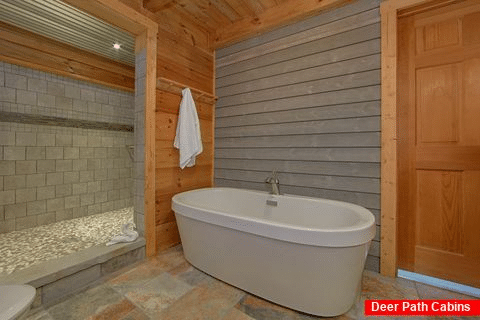 1 Bedroom Cabin Sleeps 4 Master Bath Room - The Overlook