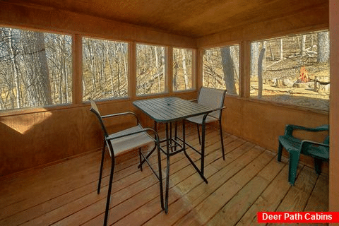 3 Bedroom Cabin with Screen in Porch - Simply Incredible