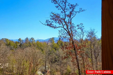 Wooded View from deck of 7 Bedroom Cabin - Smoky Mountain Lodge