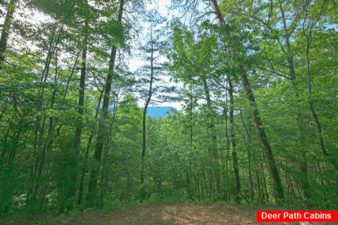 Featured Property Photo - Top of The Mountain