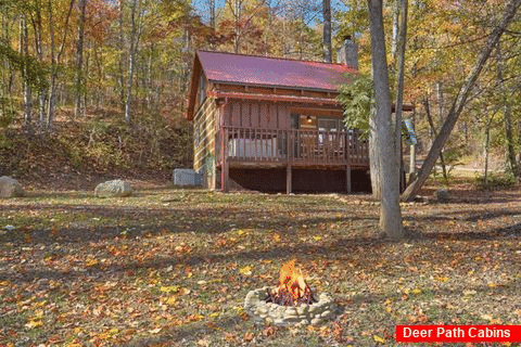 Cabin In The Woods 1 Bedroom Cabin Fire Pit - Bare Kissin And Huggin