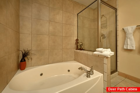 Condo with Private Jacuzzi in Master Bath - Mountain View 5102
