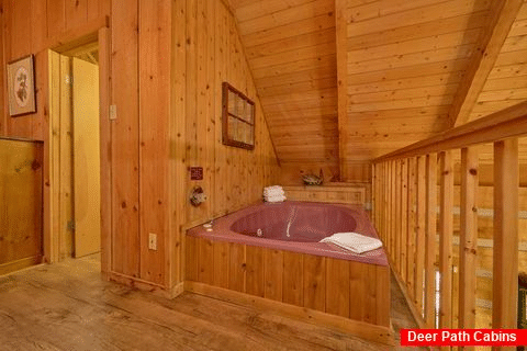 1 Bedroom Cabin with Jacuzzi Tub and Queen bed - Turtle Dovin'