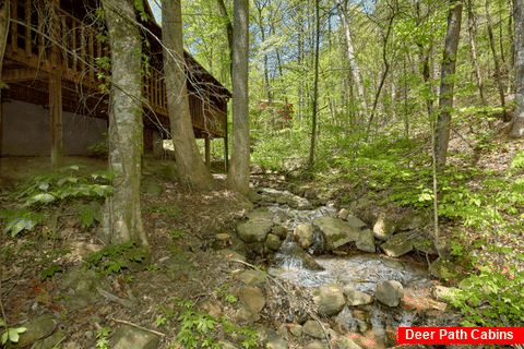 1 bedroom cabin overlooking a mountain stream - Turtle Dovin'