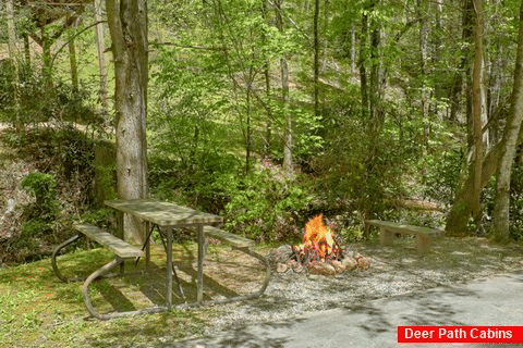 1 Bedroom Cabin with a fire pit and picnic table - Cuddle Creek Cabin