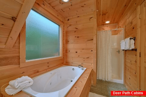 Luxury Cabin with 3 Jacuzzi Tubs & Private Baths - Amazing Views to Remember