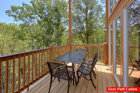 Brand New 2 Bedroom Cabin with Indoor Pool - Scenic Mountain Pool