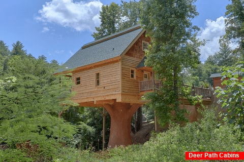 Treehouse Style Luxury Cabin in Pigeon Forge - Out On A Limb