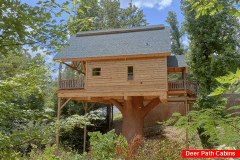 Luxury 1 Bedroom cabin with Resort Pool Access - Out On A Limb