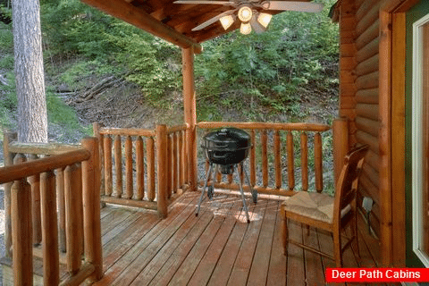 3 bedroom cabin with grill, hot tub and Views - Bear Mountain Lodge