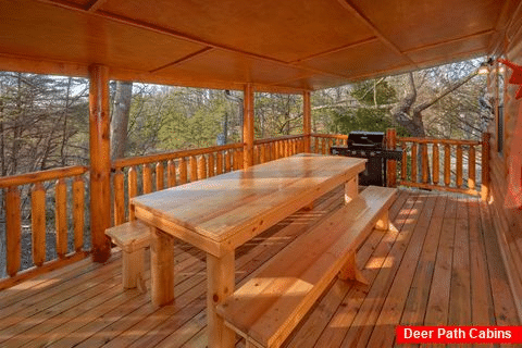 Gatlinburg Cabin with Covered Picnic Table - Bar Mountain