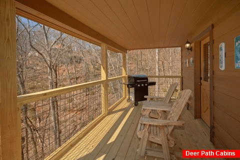 2 Bedroom Cabin with Grill Sleeps 6 - A Beary Special Place