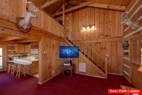 Spacious living room with TV in 2 bedroom cabin - Hillbilly Deluxe
