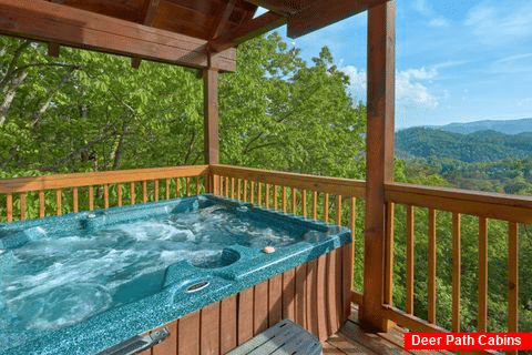 3 bedroom cabin with Hot tub and Mountain View - A Lazy Bear's Hideaway