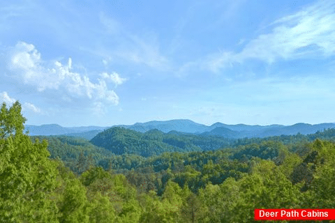 Beautiful Mountain Views from 3 bedroom cabin - A Lazy Bear's Hideaway