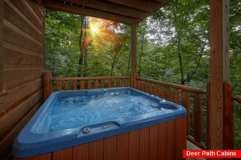 Private Hot Tub 2 Bedroom Cabin Sleeps 10 - Endless Joy