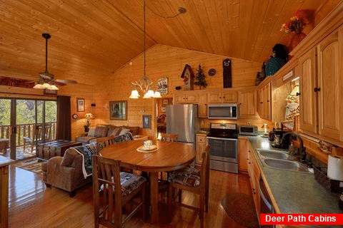 Spacious 4 bedroom cabin with Full Kitchen - Hillbilly Hideaway