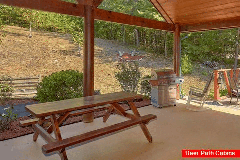 Picnic Table and Grill at 4 bedroom resort cabin - Hillbilly Hideaway