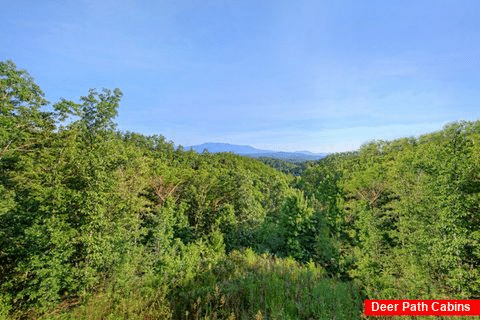 Beautiful Mountain Views from 4 bedroom cabin - Absolutely Viewtiful