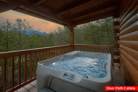 Private Hot Tub 3 Bedroom 3 Bath Cabin - American Honey