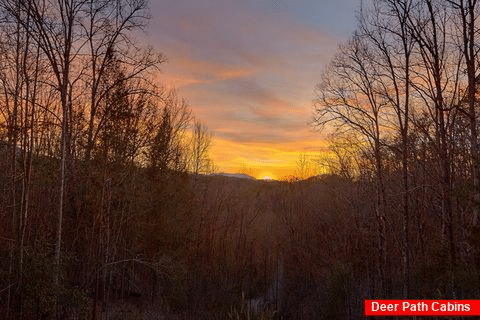 Beautiful Sunset 1 Bedroom Vacation Home - Bear Bottoms