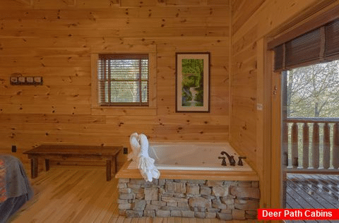 9 bedroom cabin with Private Jacuzzi tubs - Summit View Lodge