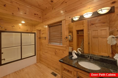 9 bedroom cabin with Private Master bathroom - Summit View Lodge