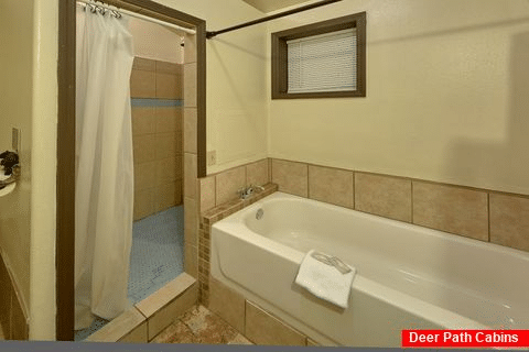 Walk in Shower 2 Bedroom 3 Bath Cabin - Can't Bear To Leave