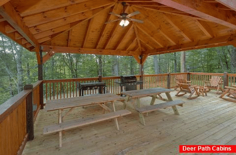 Deck with Picnic Table and Chairs - Bar Mountain II