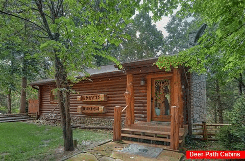 Luxurious 2 bedroom cabin on the River - River Edge