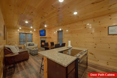 Luxury 2 bedroom cabin with cozy Living Room - Hickory Splash