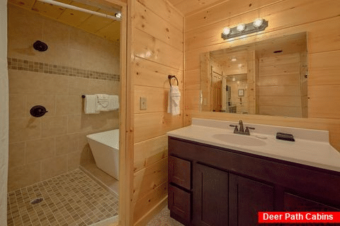 2 bedroom cabin with Luxurious shower and tub - Hickory Splash