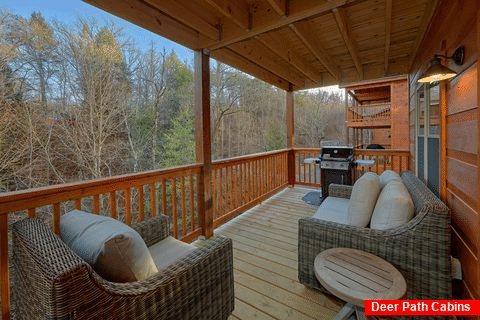2 bedroom cabin with grill and private deck - Hickory Splash