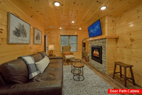 Premium 2 bedroom cabin with gas fireplace - Hemlock Splash