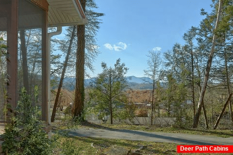 Pigeon Forge 2 Bedroom Cabin near the Parkway - Byrd House