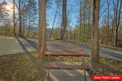 Rustic Cabin in Pigeon Forge with Picnic Table - Byrd Box