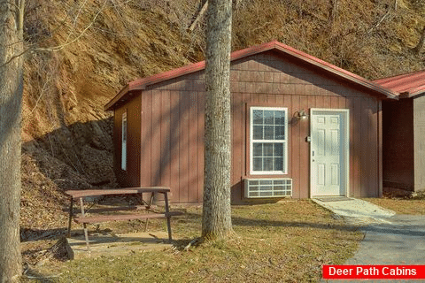 Studio Cabin Walking Distance to Pigeon Forge - Byrd Box