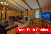 Smoky Mountain 2 Bedroom Cabin with Cable & WiFi