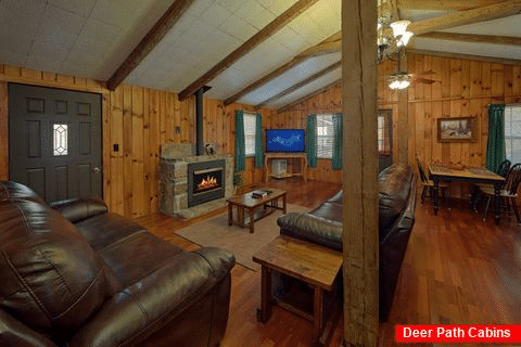 Spacious Living Room with Cable TV and Fireplace - Byrd Nest