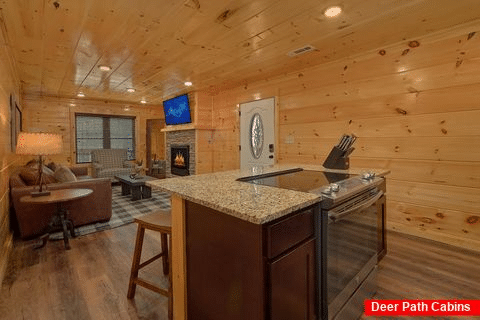 2 bedroom luxury cabin with full kitchen - Laurel Splash