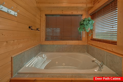 3 Bedroom 3 Full Baths Cabin Sleeps 13 - Aurora