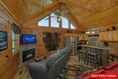 Cozy 1 Bedroom Cabin with living room fireplace - Angel Haven