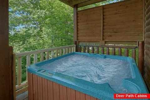 Private Hot Tub 2 Bedroom Cabin Sleeps 8 - Bearfoot Haven