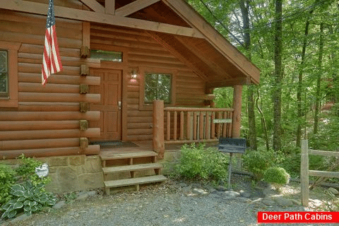 Honeymoon cabin with grill and wooded views - Dreamweaver