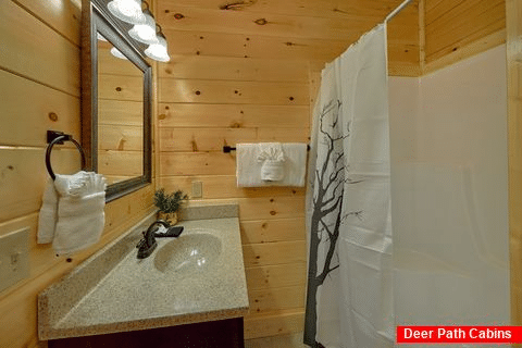 Master Bedroom with Full Bath Sleeps 12 - Pigeon Forge Plunge