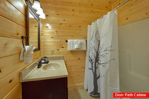 Master Bathroom with Shower - Pigeon Forge Plunge