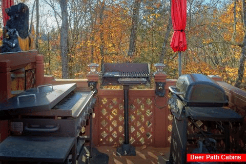Gas, Charcoal, and griddle grill 2 Bedroom Cabin - Pookie Bear