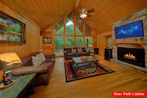 3 bedroom cabin with Fireplace in Living Room - Not Too Shabby